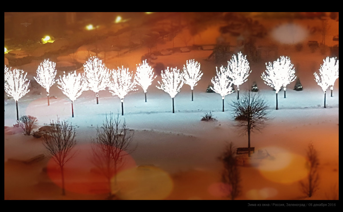 Зима из окна / Winter from window - Dimсophoto ©