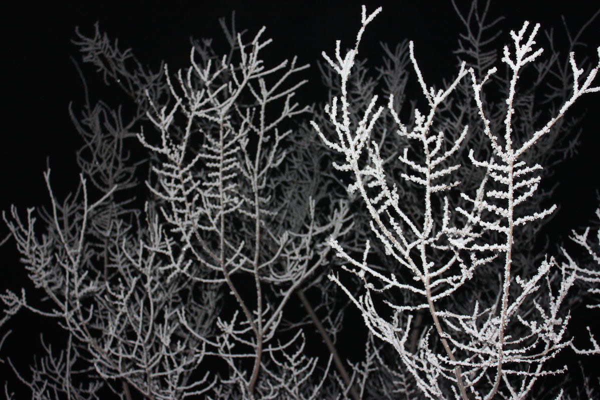 зима ночью - Наташа Пасакас