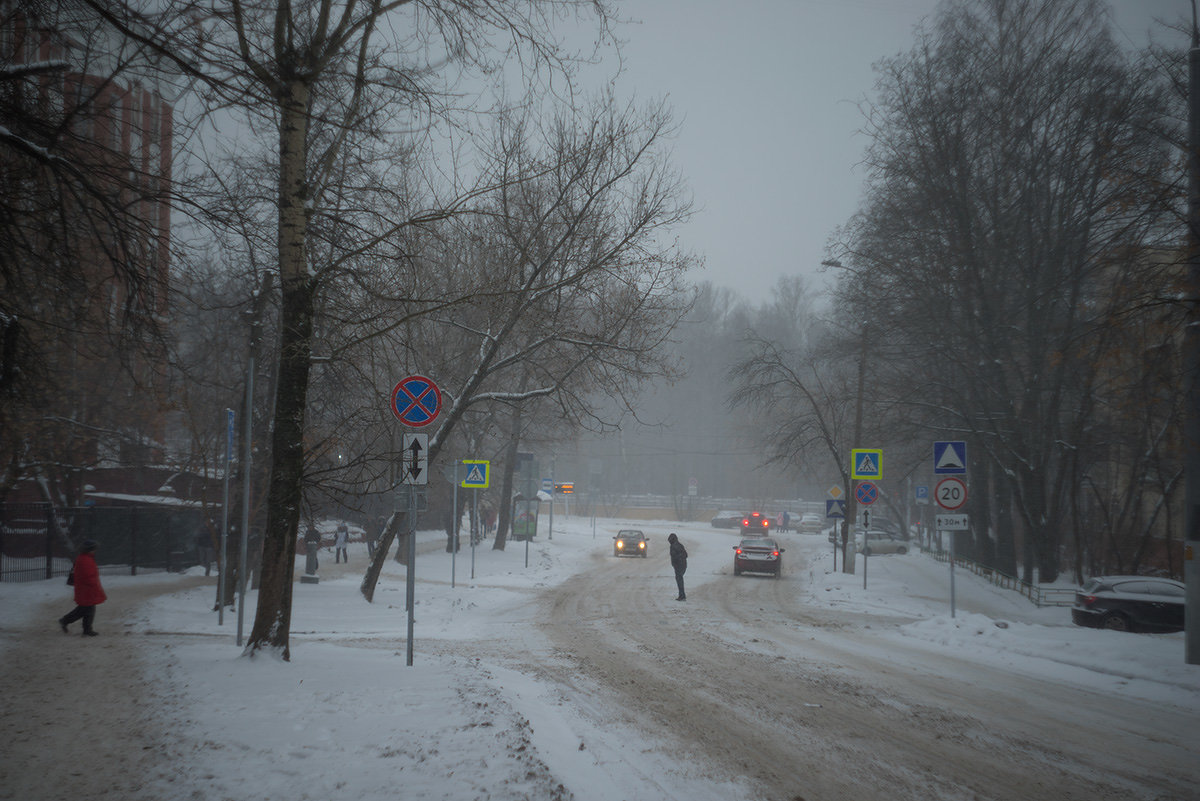 Снегопад в Москве - Игорь Герман