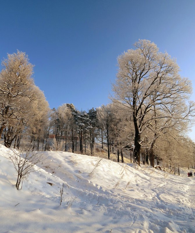 Красивая зима! - Вера Щукина