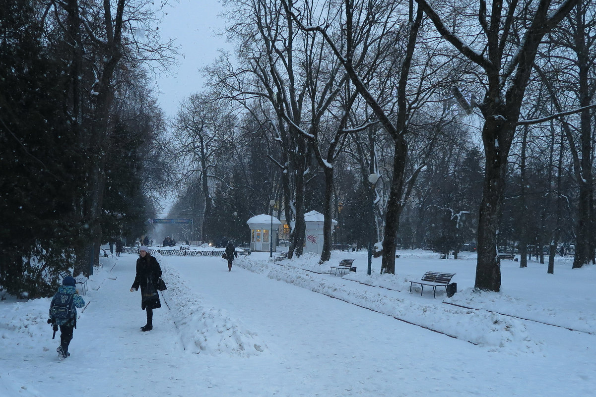 Падал легкий снег - Елена Миронова