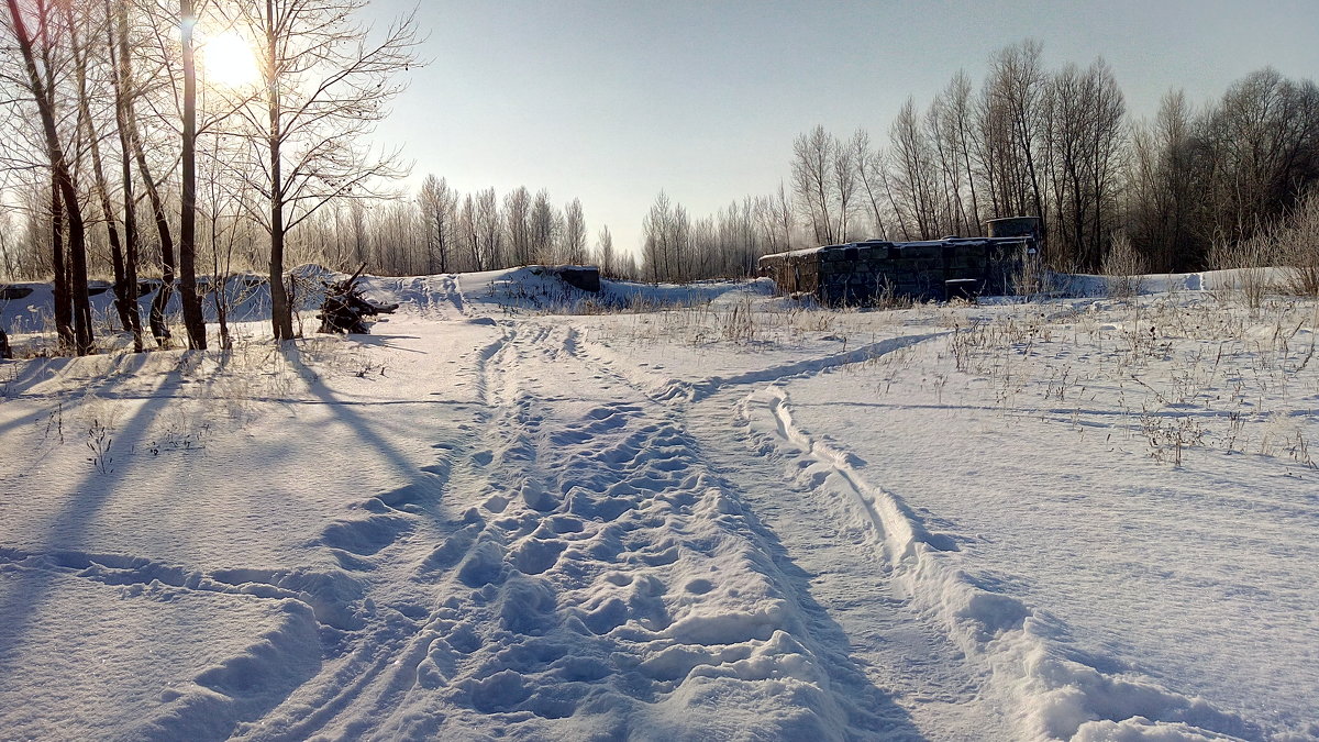 Декабрьский день - Александр Алексеев