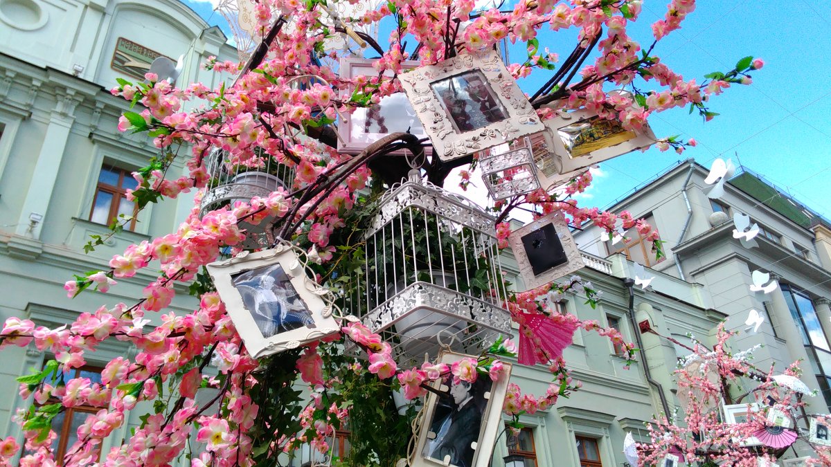 Нежность весны на Камергерском переулке - Татьяна Колганова