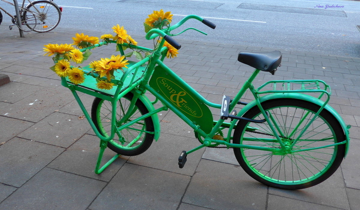 Велосипед с цветами - Nina Yudicheva