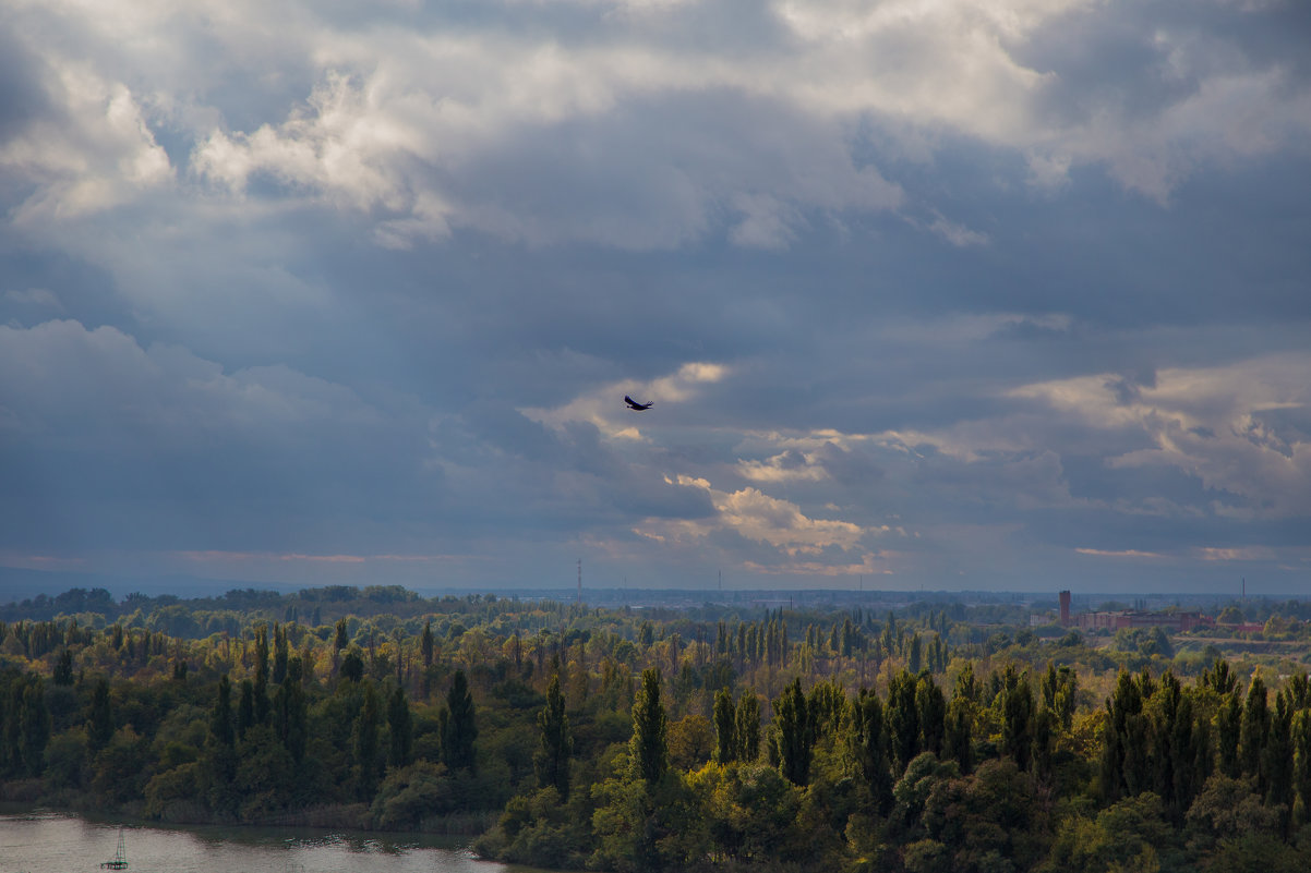 грецкий орех в клюве у вороны, которая летит над рекой Старая Кубань - Таня Харитонова