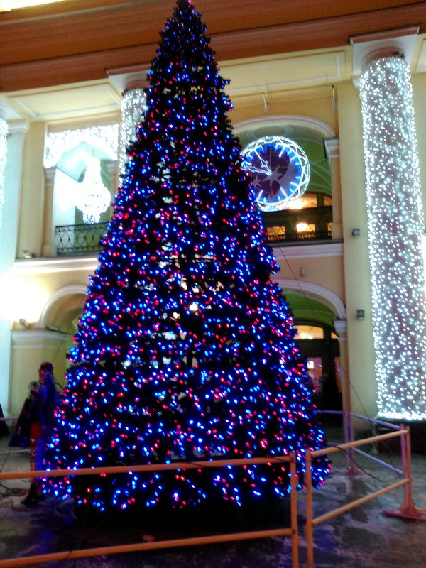 Новогодняя елка у Гостинного Двора. (Санкт-Петербург) - Светлана Калмыкова