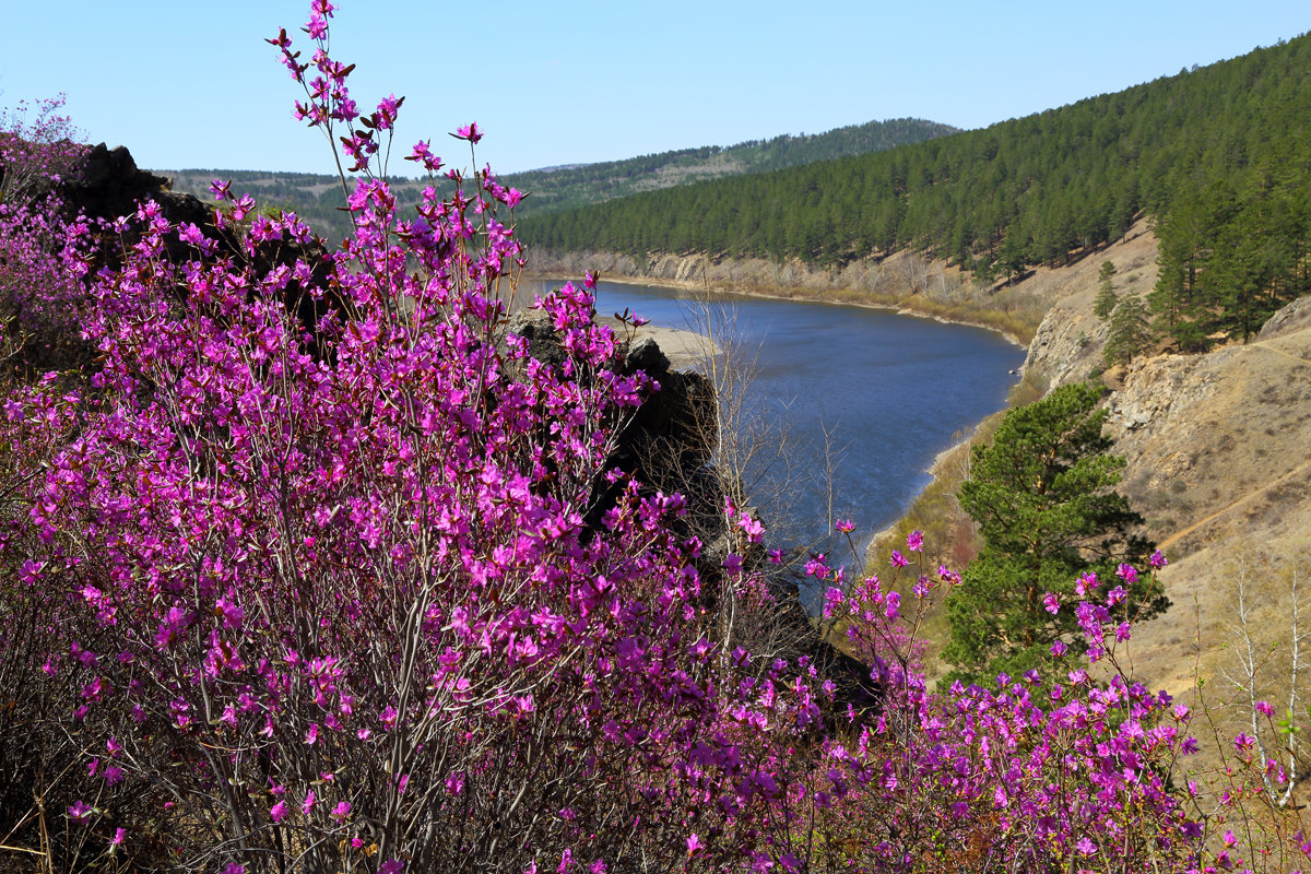 Природа забайкалья картинки