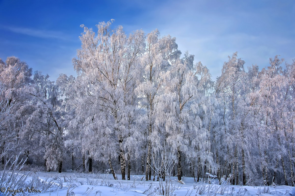 А в Москве - зима - Андрей Левин