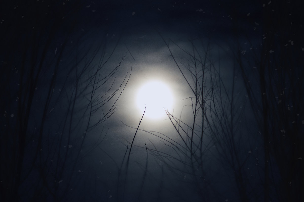 Зловещая луна - Dmitriy Predybailo