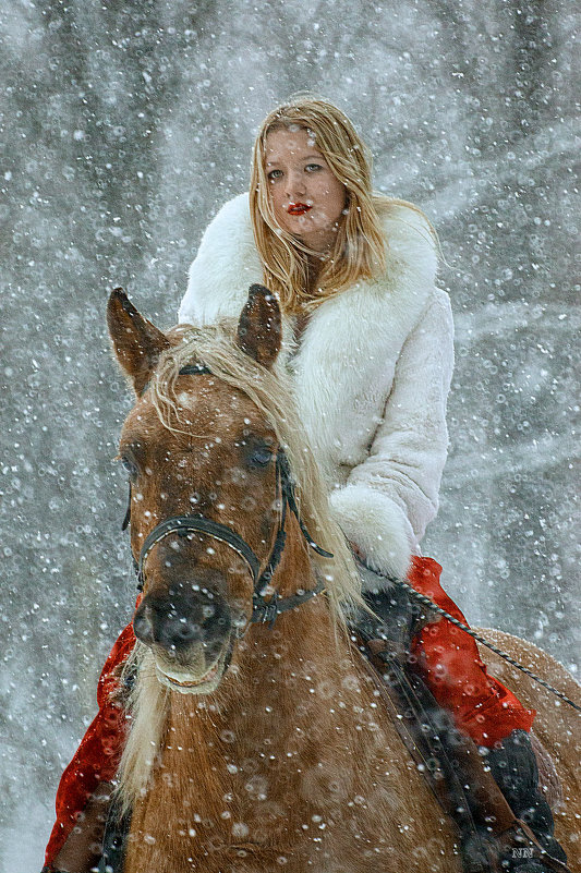 Наездница в красном платье на коричневом коне. - Николай Нестеренко