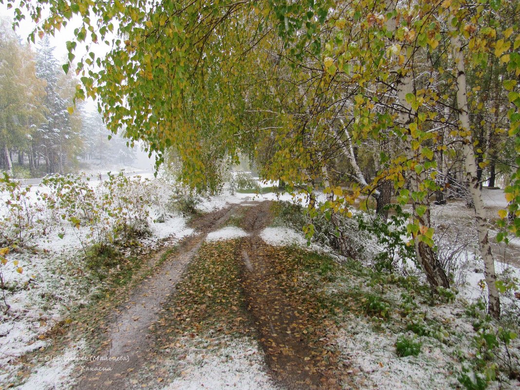 Первый снег в начале октября - MaOla ***