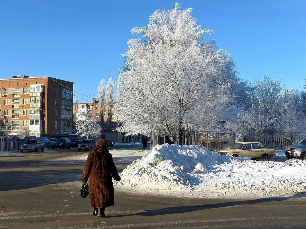 Прогулка по морозцу - Татьяна Смоляниченко