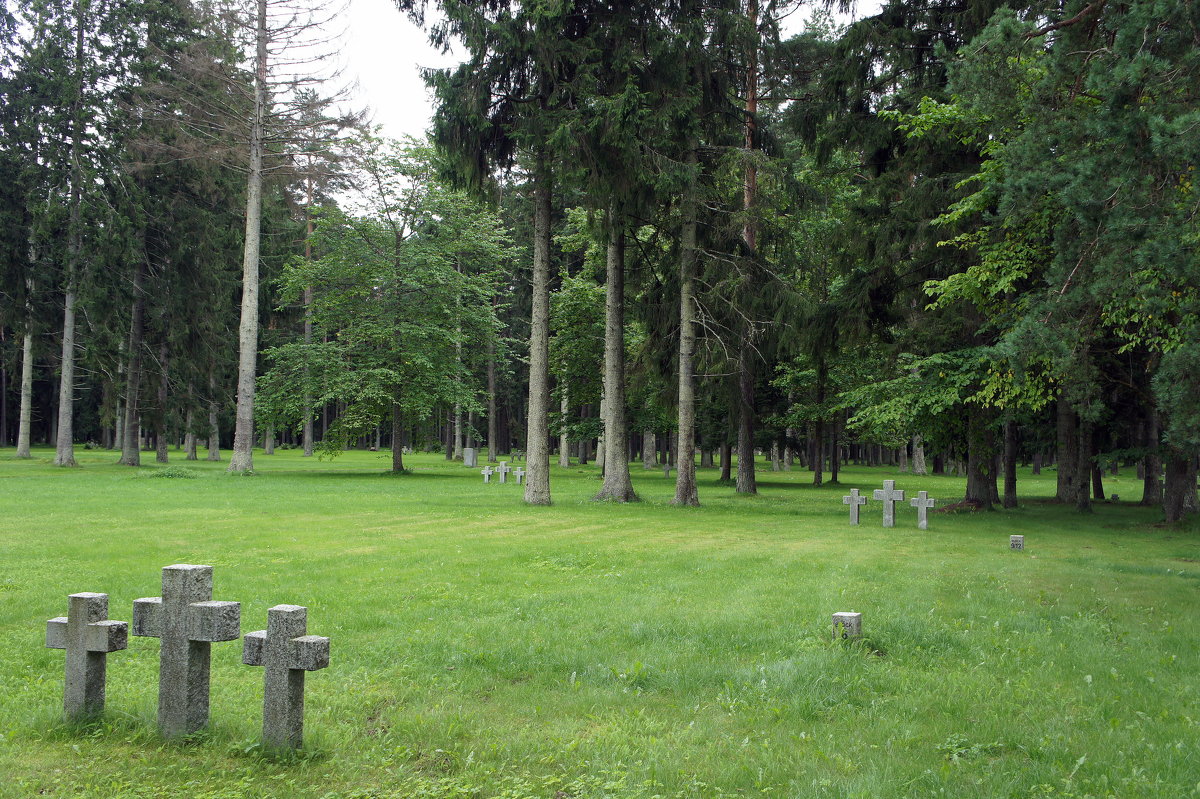 Немецкое военное мемориальное кладбище в Тойла - Елена Павлова (Смолова)