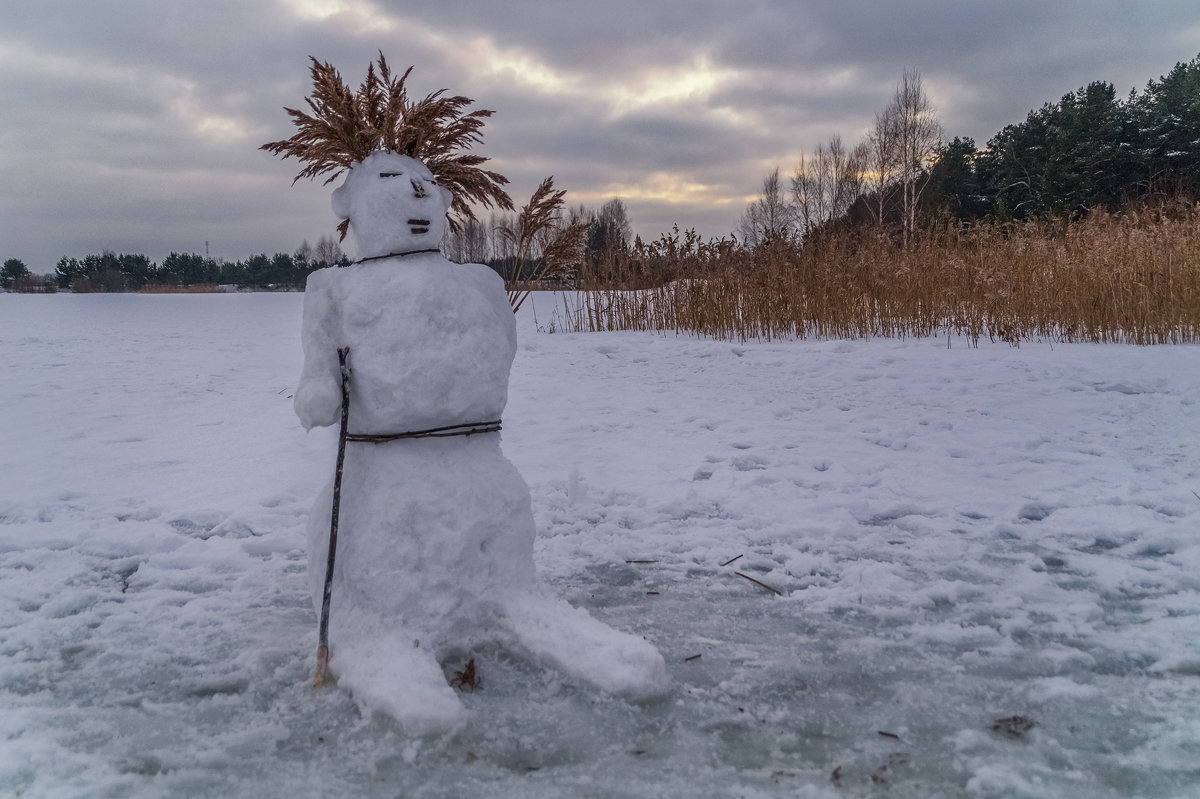 Снежный мужик :) - Андрей Дворников