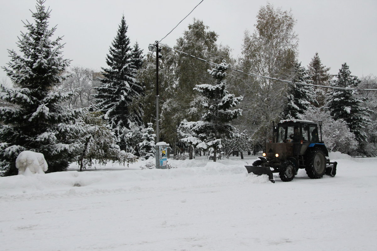 Новосибирск - Олег Афанасьевич Сергеев