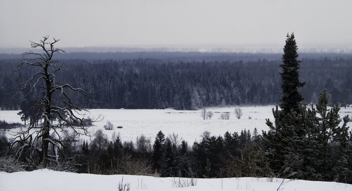 Зимний пейзаж у деревни Карйыл на трассе Глазов – Полом - Владимир Максимов