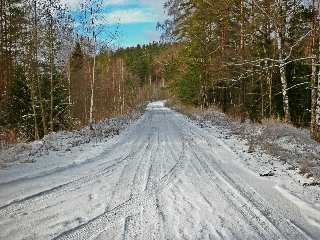 Зимняя дорога - Натали Пам
