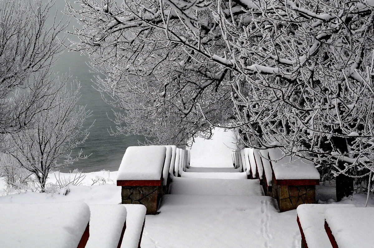 Зима на озере - Vladimir Lisunov