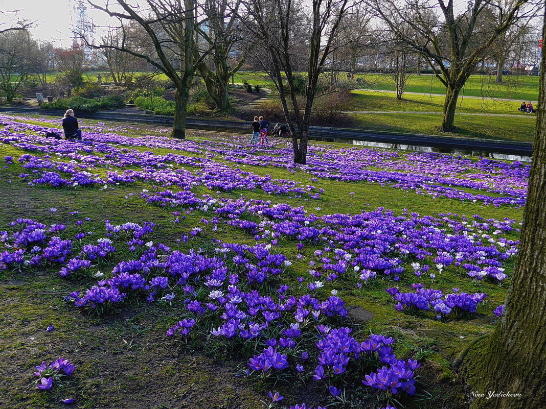 Planten un Blomen. Hamburg - Nina Yudicheva