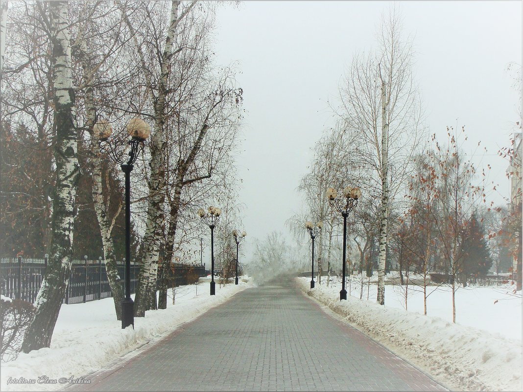 Январский туман - °•●Елена●•° ♀
