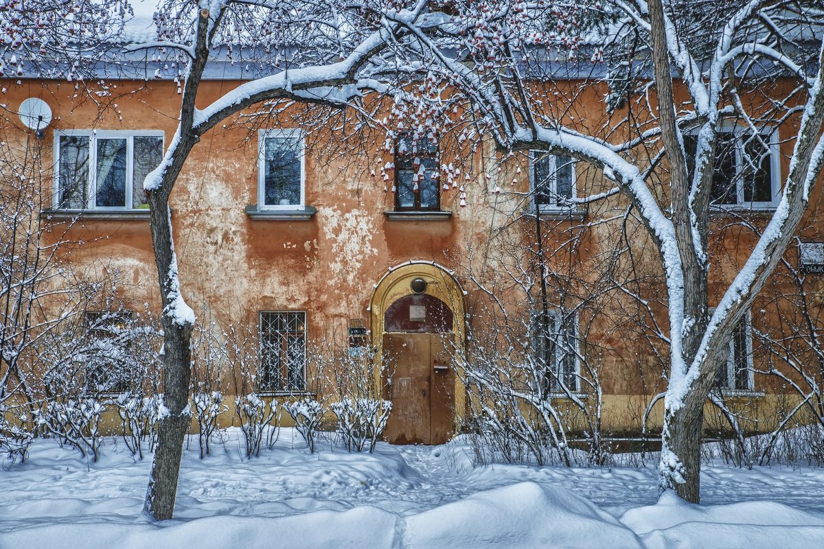 a cold winter day - Dmitry Ozersky