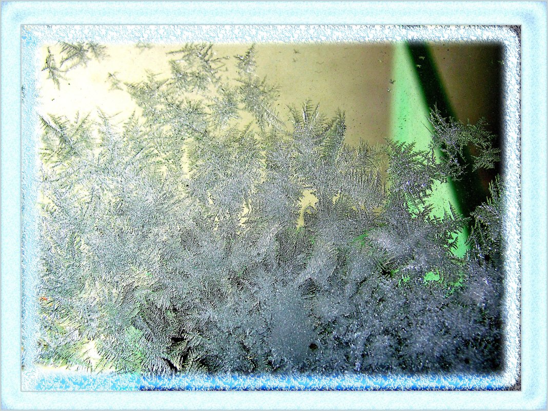 Волшебной кисточкой мороз рисует на стекле узоры... - super-krokus.tur ( Наталья )