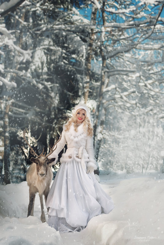 Зима и северный олень - Татьяна Семёнова