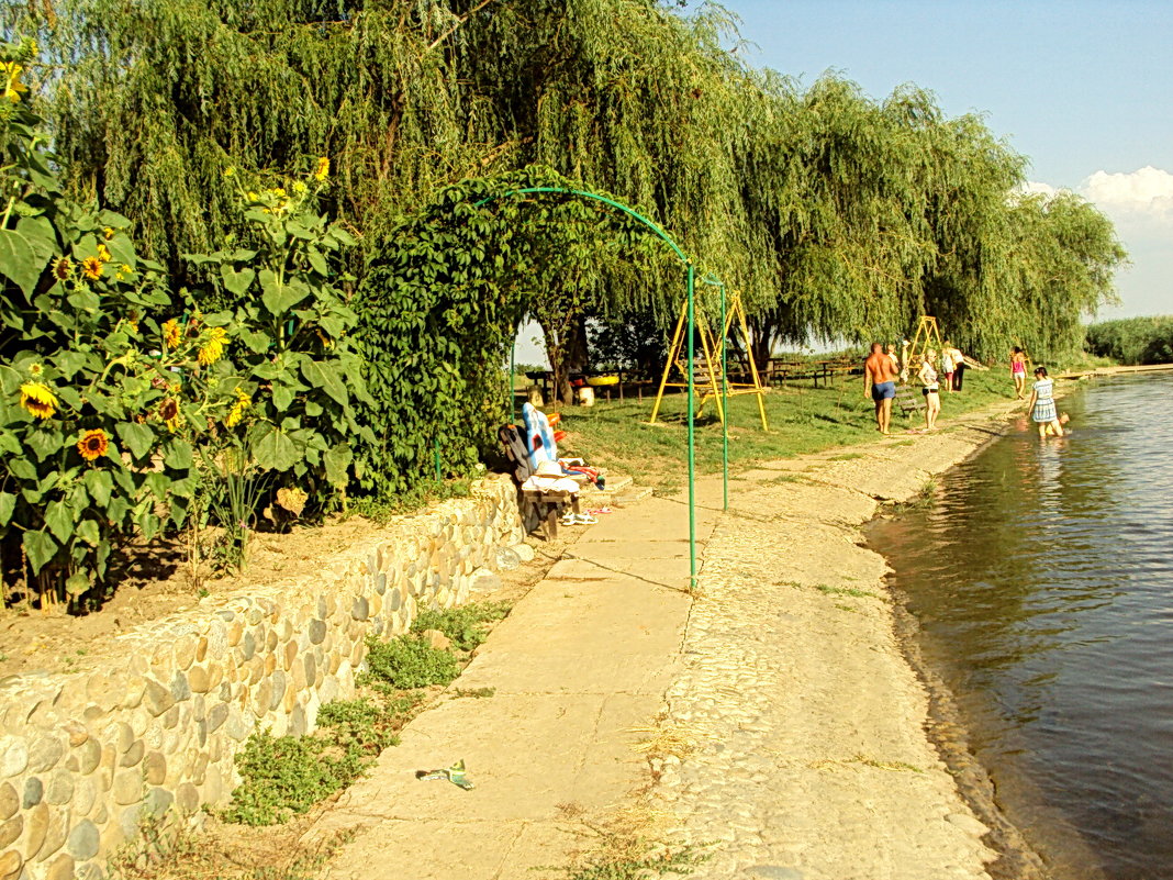 В жаркий день на речке - Светлана Петошина