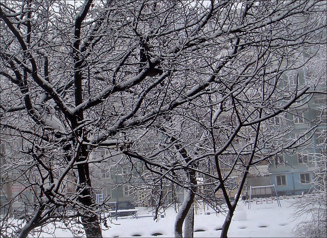 Снежный январь - Нина Корешкова