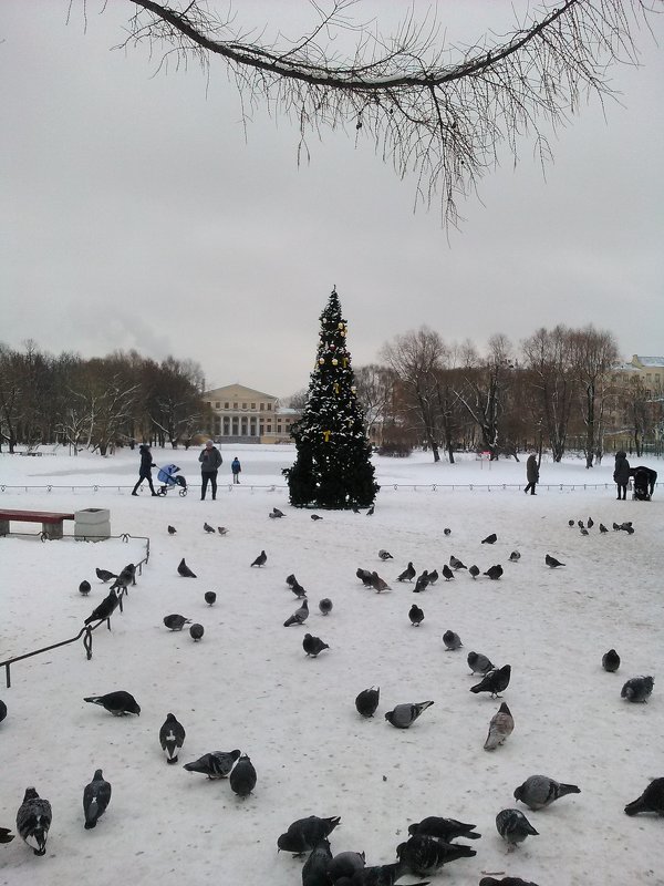 Зимний пейзаж с елочкой. (в Юсуповском саду). - Светлана Калмыкова
