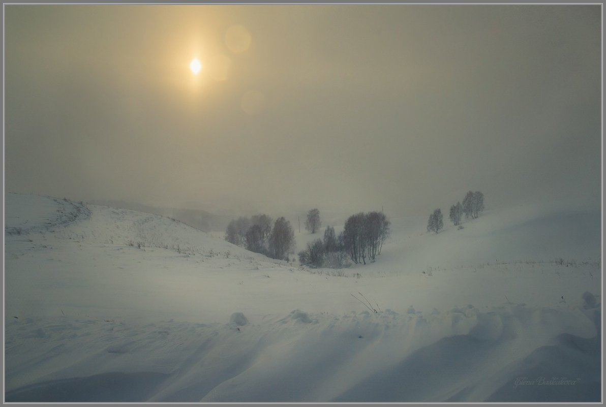 Лунный день в январе - Елена Баскакова