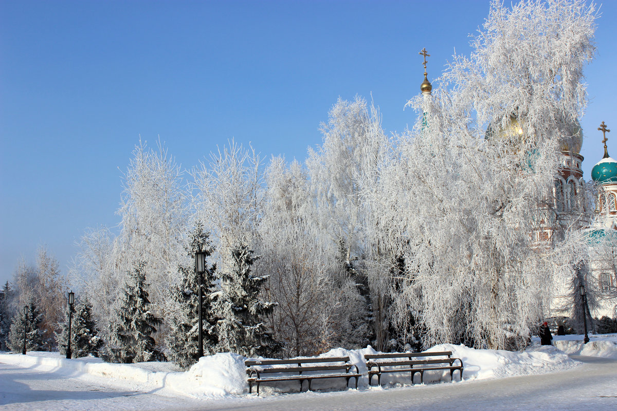 Зима в городе - раиса Орловская