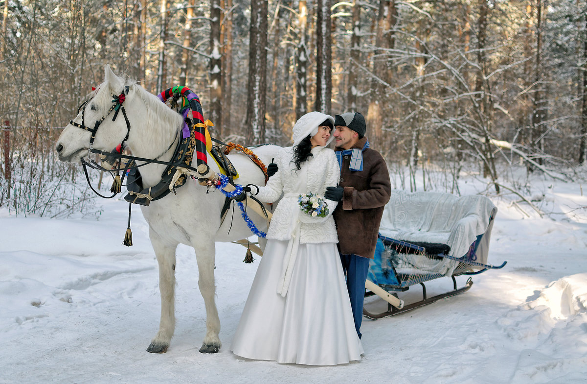 Прелесть зимних свадеб - Дмитрий Конев