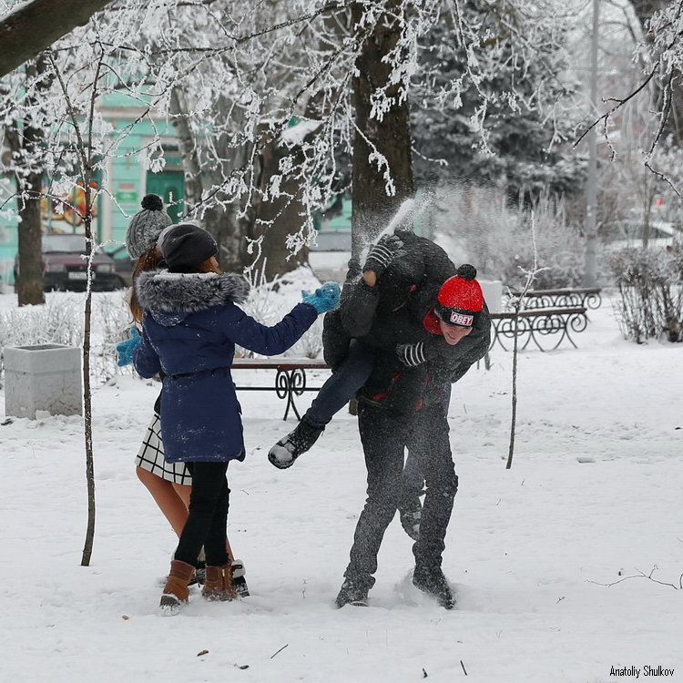 Игра в снежки - Анатолий Шулков