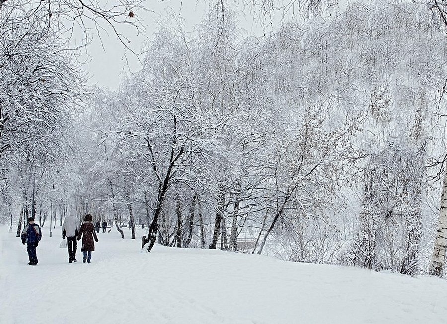 Снежно... - анна нестерова