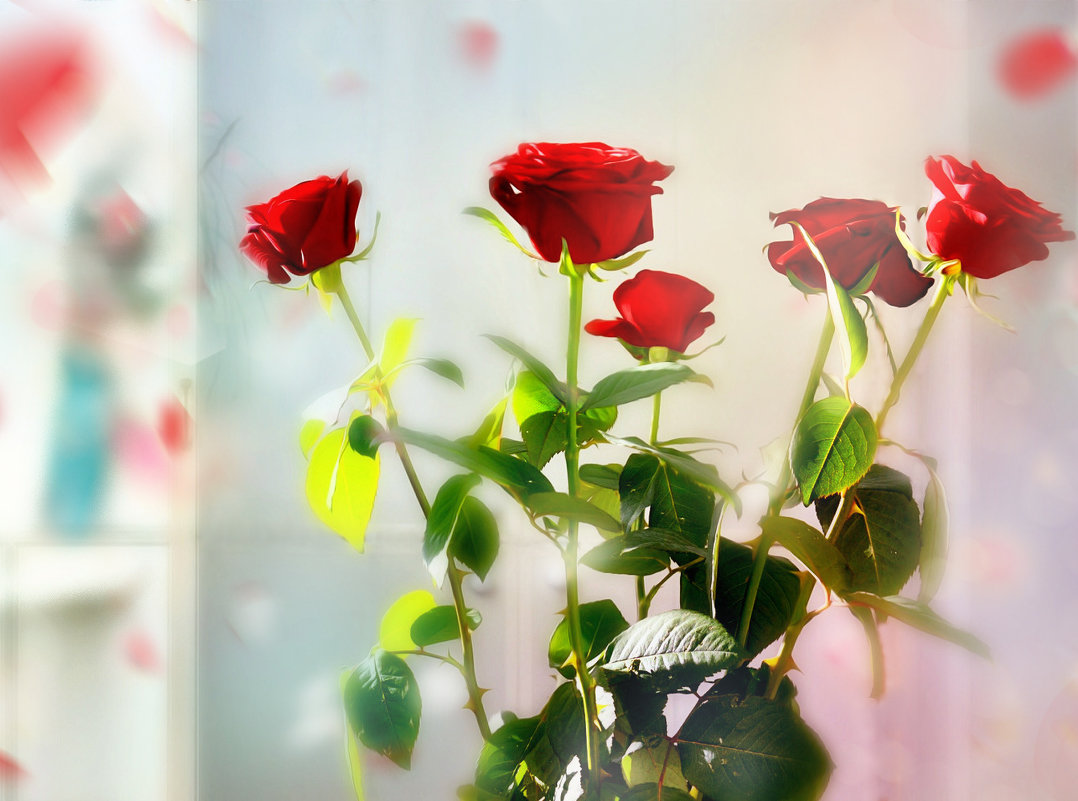 Розы красные - Наталия Лыкова
