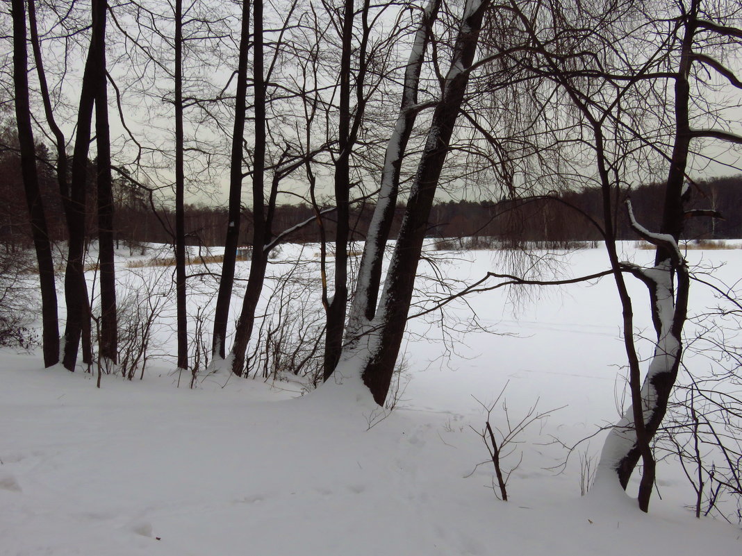 Скромное обаяние московской зимы - Андрей Лукьянов