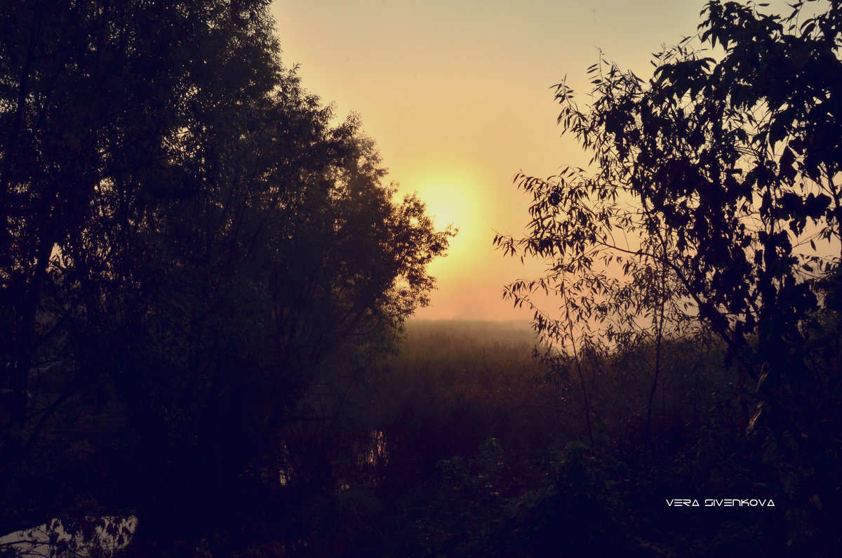 Восход солнца в тумане - Вера 
