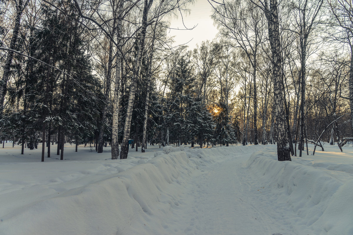 Зимний парк на исходе дня - cfysx 