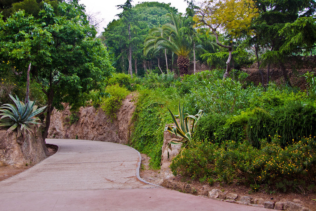 Guell park - ~ Backstage ~ N.