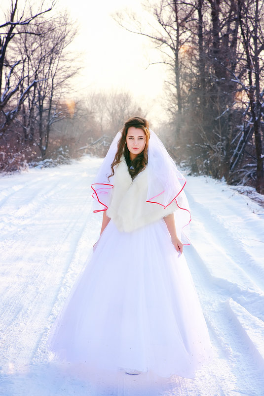 Зимняя невеста - Надежда Федоренко 