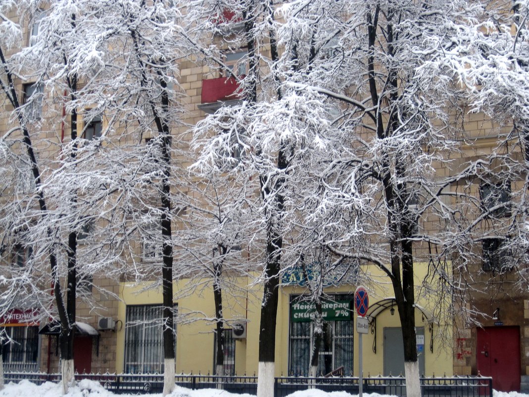 Снежная зима в городе - Елена Семигина