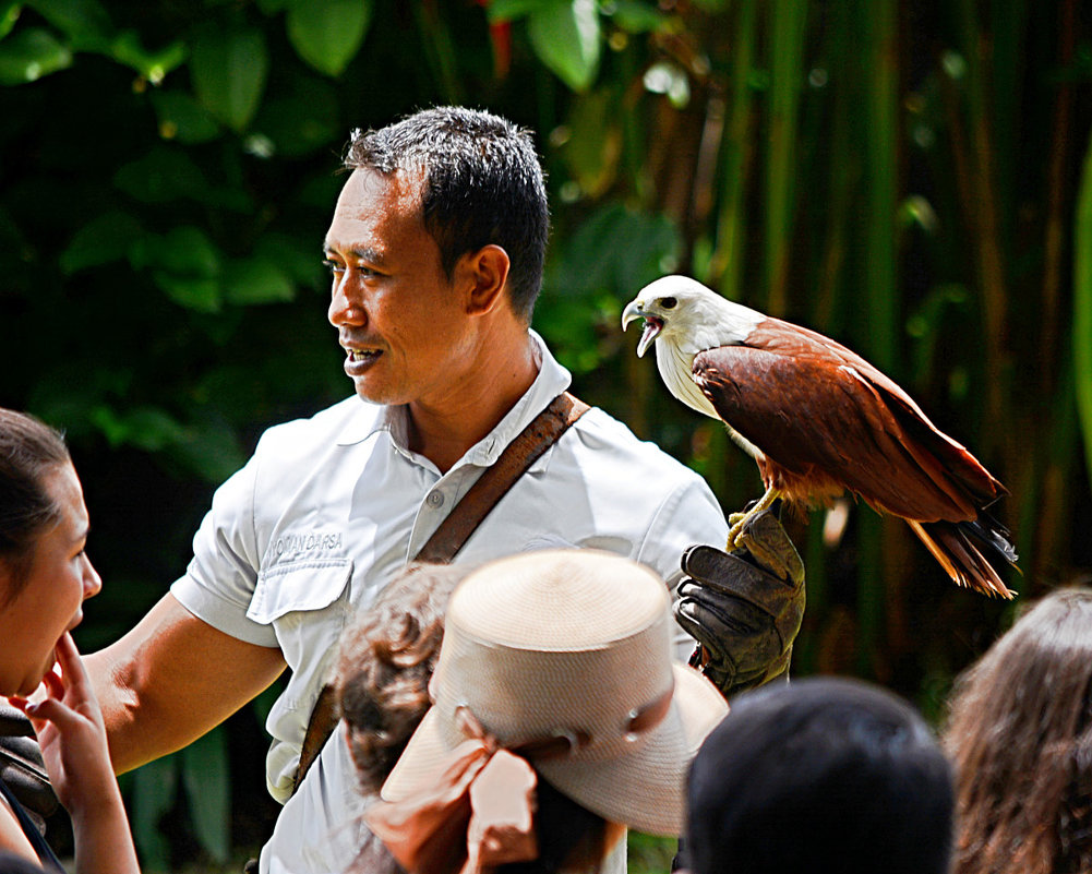В "Парке птиц" на острове Бали - Асылбек Айманов