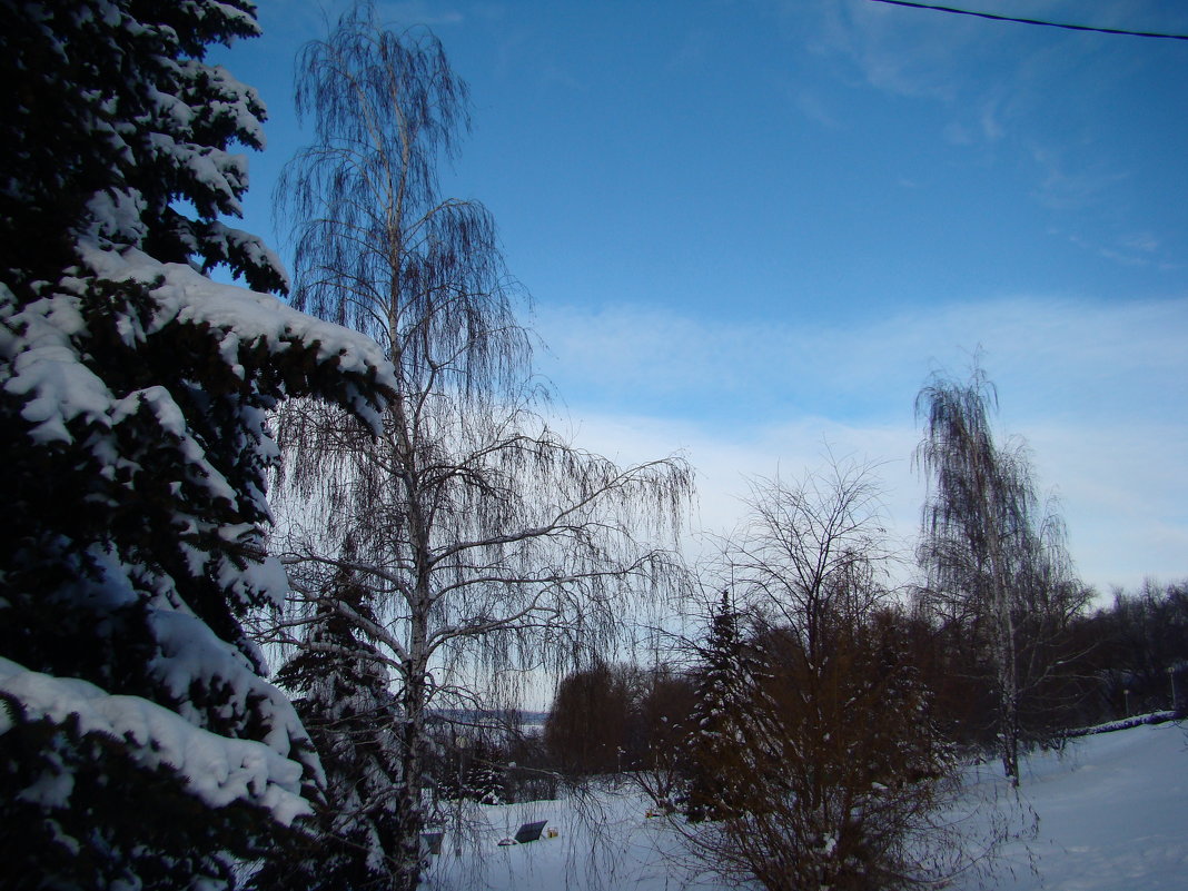 Морозным днем на набережной - марина ковшова 