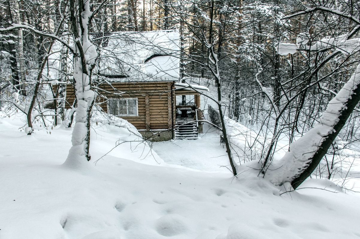 домик в лесу - Юрий Борзов