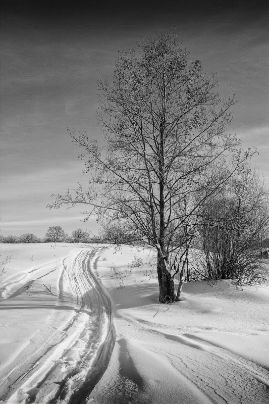 *** - Вадим Sidorov-Kassil