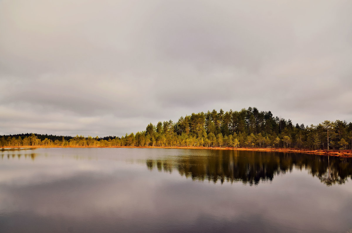 Jyväskylä [ˈjyvæsˌkylæ,Savonlinna ,Город Саволина. - Валентина Лазаренко