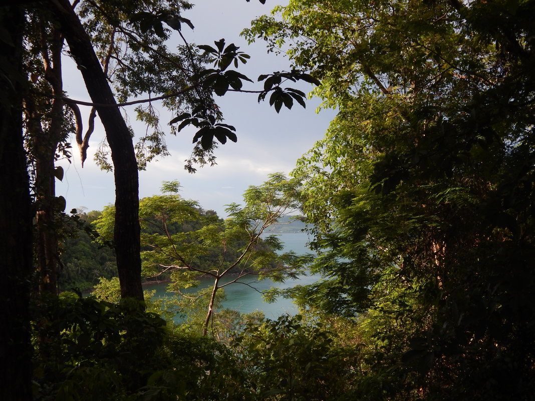 Вид из горных джунглей на Сиамский залив. - Лариса (Phinikia) Двойникова