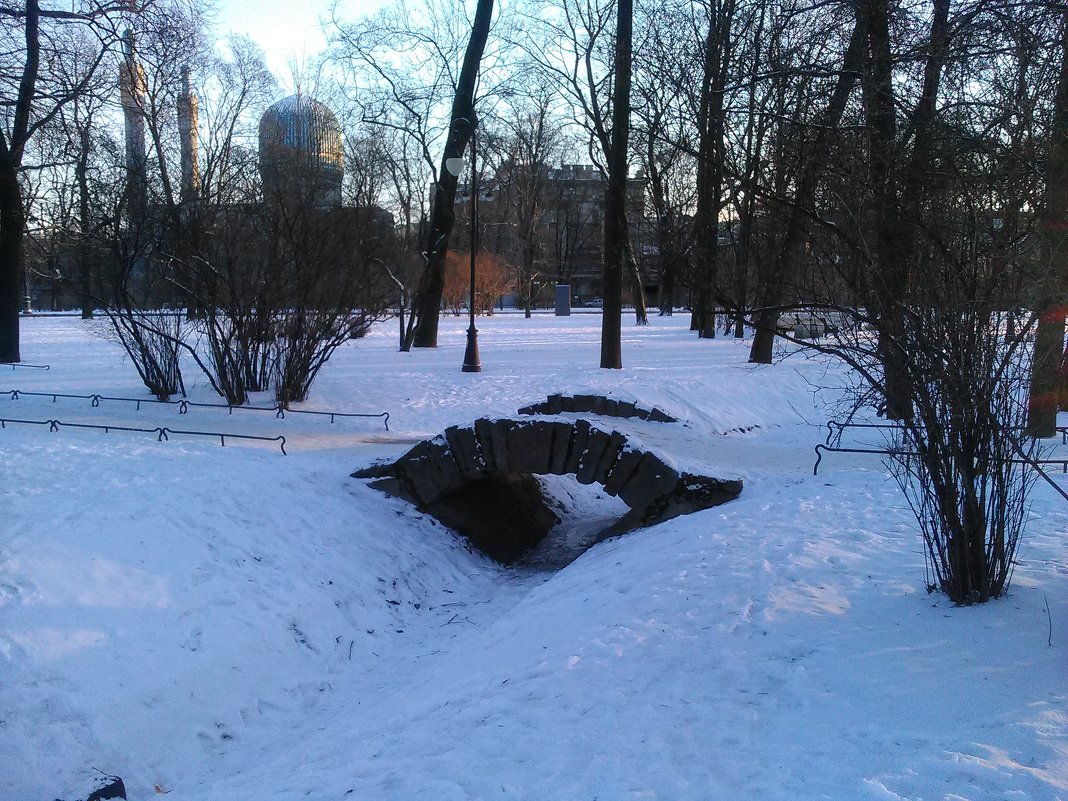 Александровский парк зимою. (Санкт-Петербург). - Светлана Калмыкова