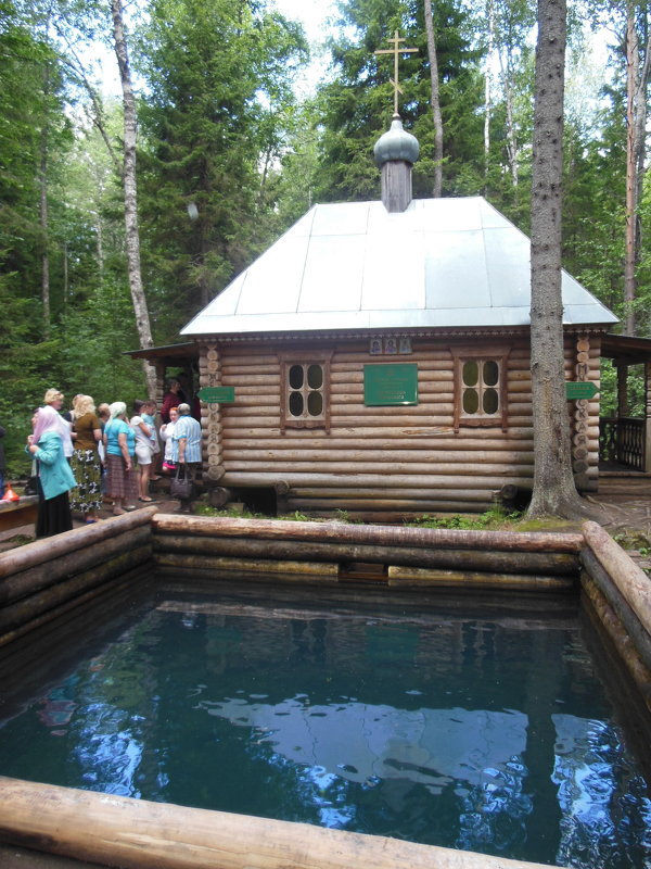 Родоновый источник. Никандрова пустынь. Новгородская область. - Татьяна Гусева